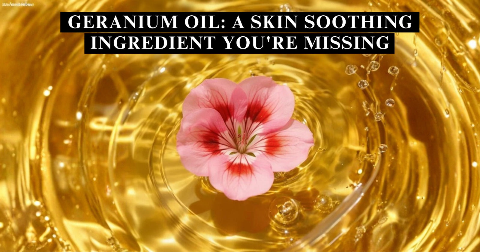 Geranium Oil: The Skincare Ingredient You’re Missing