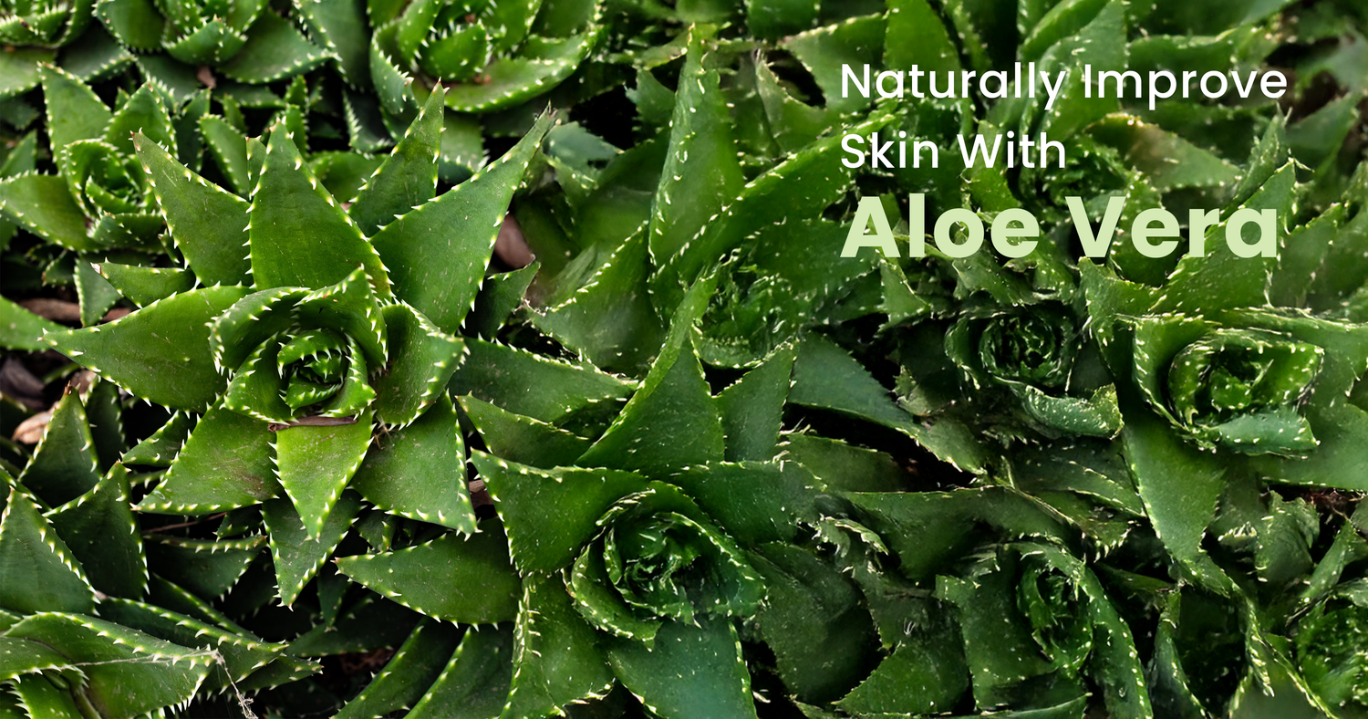 aloe vera benefits for skin​