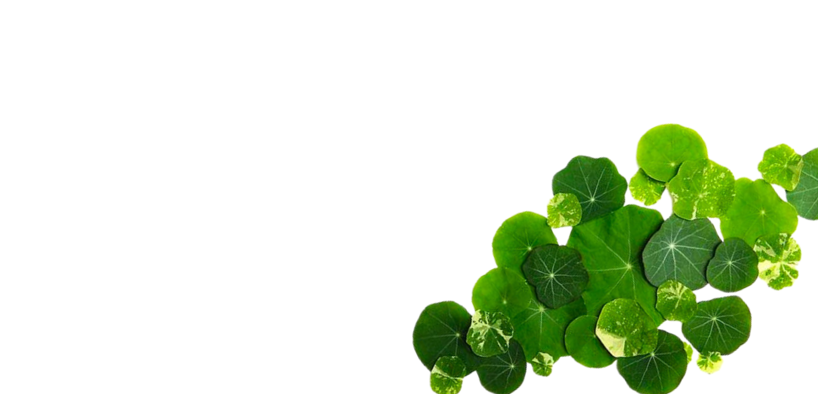 science-images