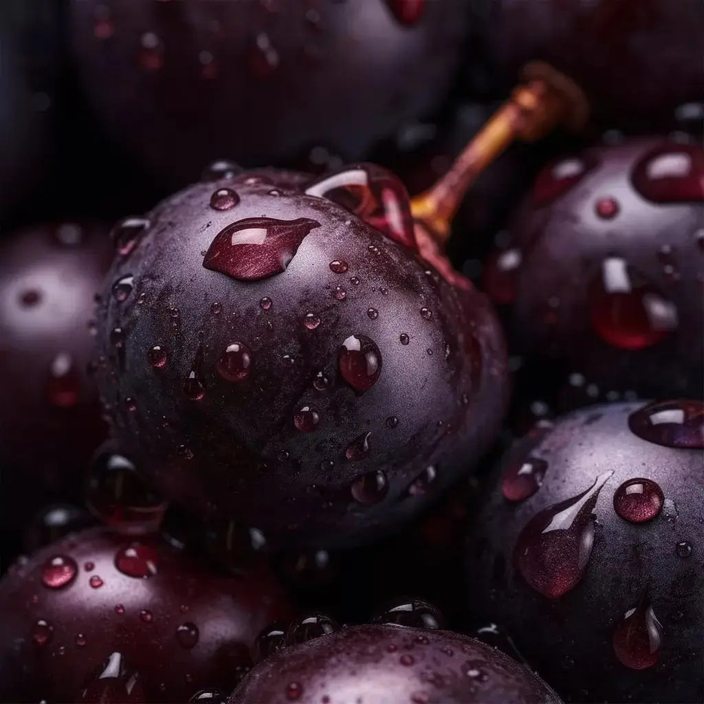 acai berry benefits